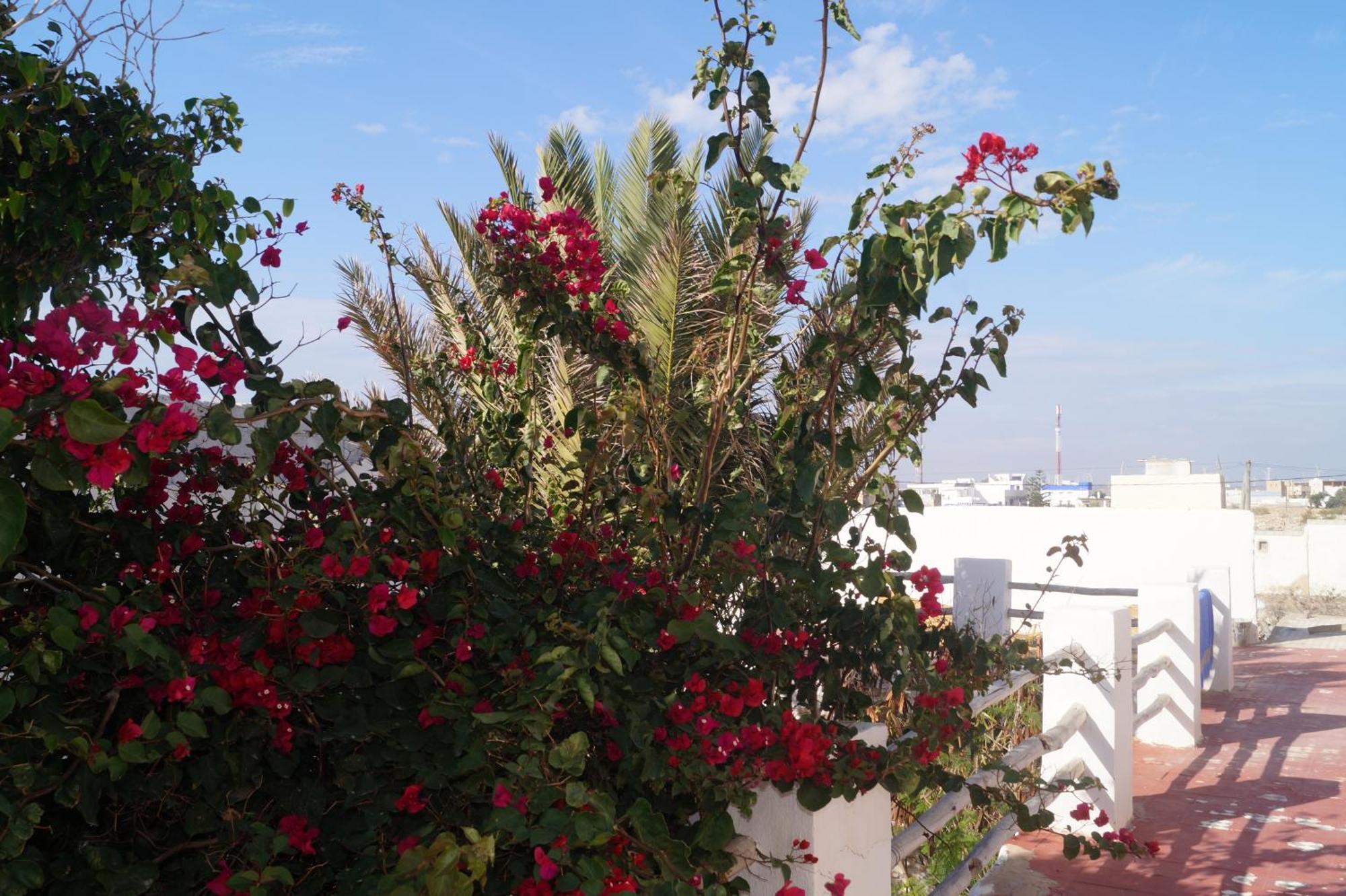 Sidi Kaouki Perla Hotel Exterior photo