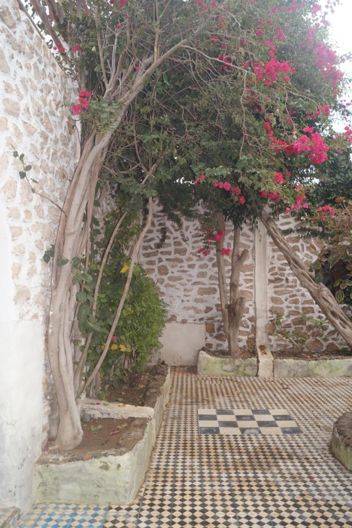 Sidi Kaouki Perla Hotel Exterior photo