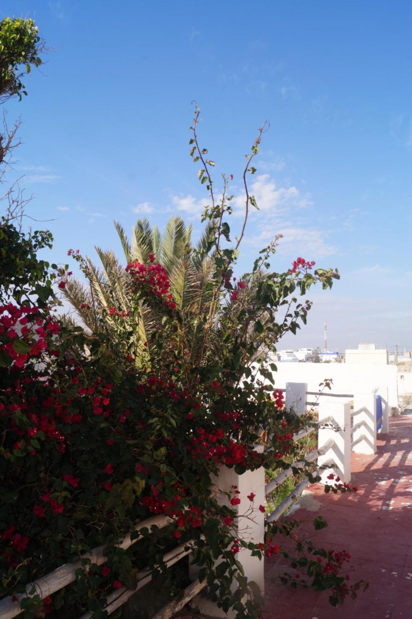 Sidi Kaouki Perla Hotel Exterior photo