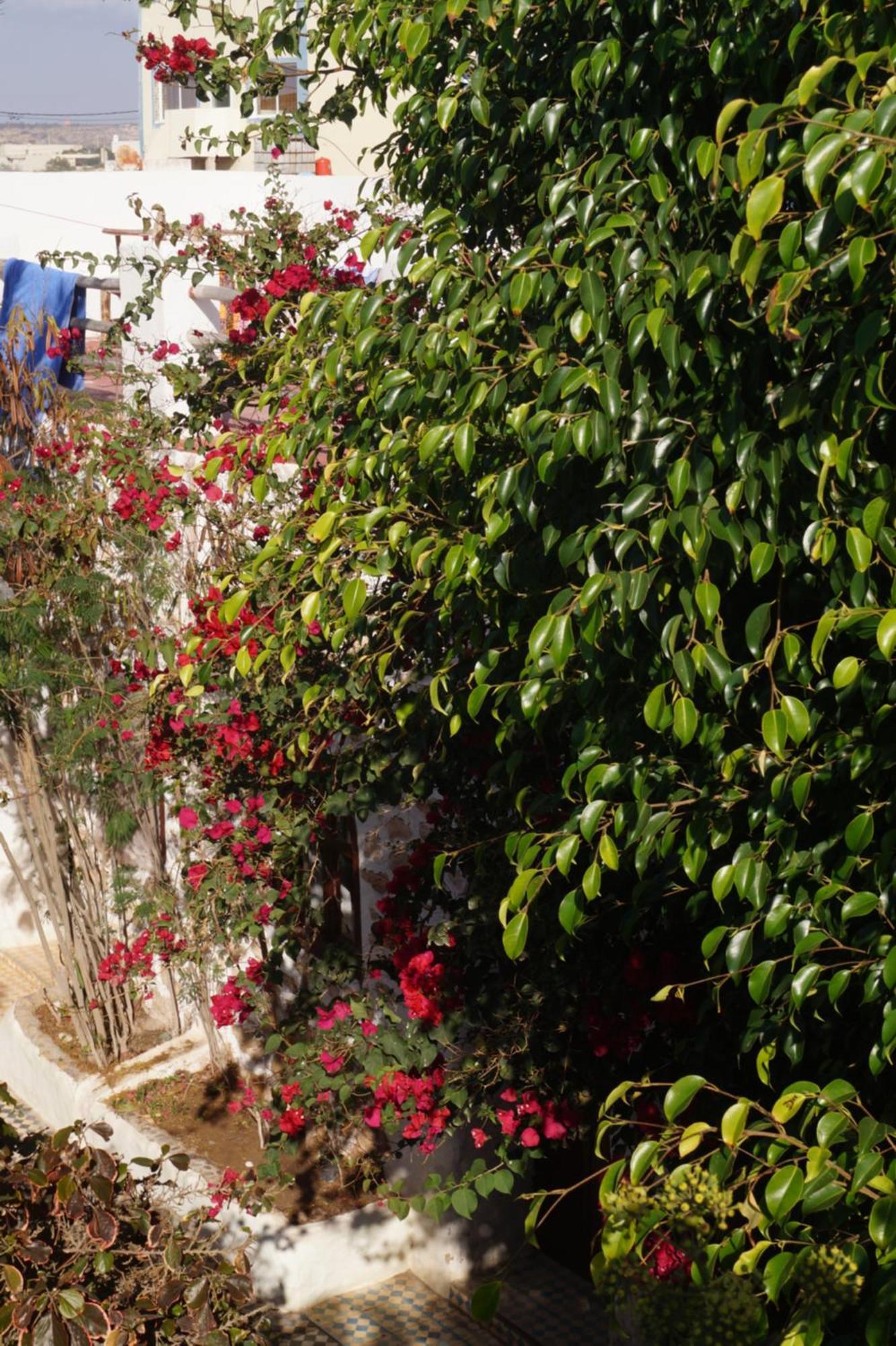Sidi Kaouki Perla Hotel Exterior photo